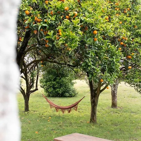 Casa de Férias Quintal Country Vila Praia de Âncora