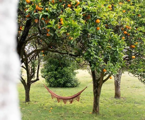 Casa de Férias Quintal Country Vila Praia de Âncora